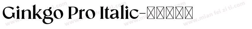Ginkgo Pro Italic字体转换